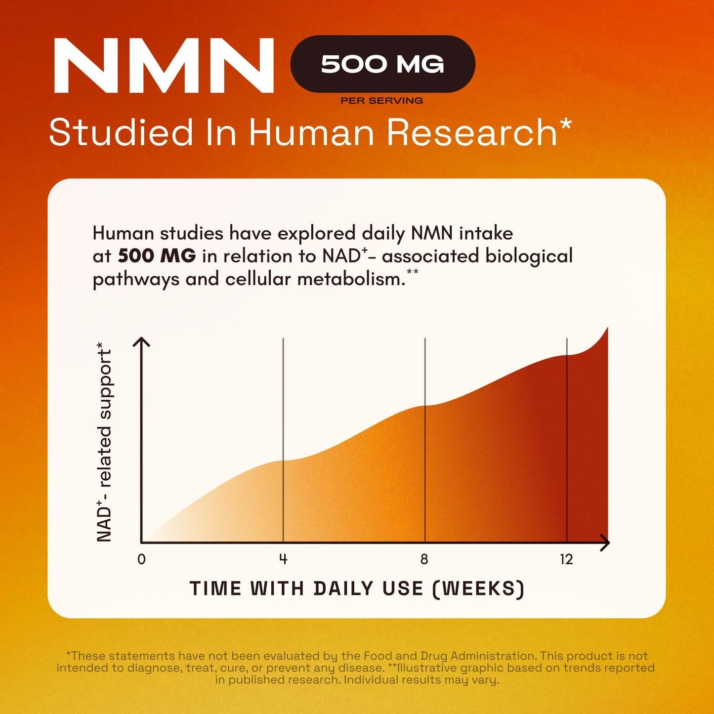 NMN 4-IN-1 COMPLEX: THE COMPLETE NAD+ SUPPORT FORMULA