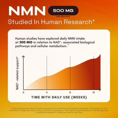 NMN 4-IN-1 COMPLEX: THE COMPLETE NAD+ SUPPORT FORMULA